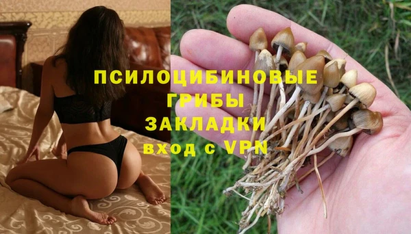 apvp Вязьма