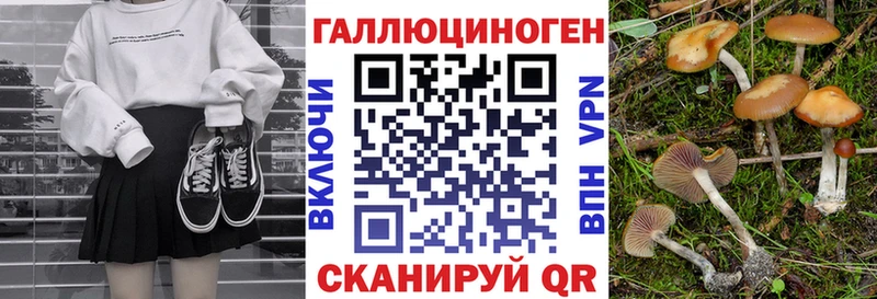 где найти   Игарка  Галлюциногенные грибы Psilocybe 